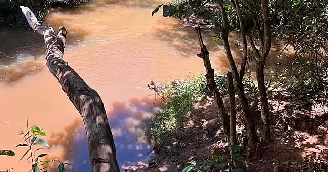 Área é marcada para plantio de árvores e recuperação do Rio Aquidauana