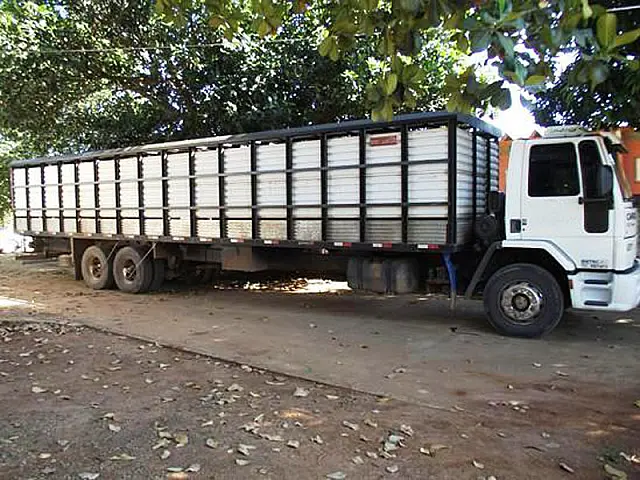 7º BPM de Aquidauana flagra caminhão que transportava bois furtados