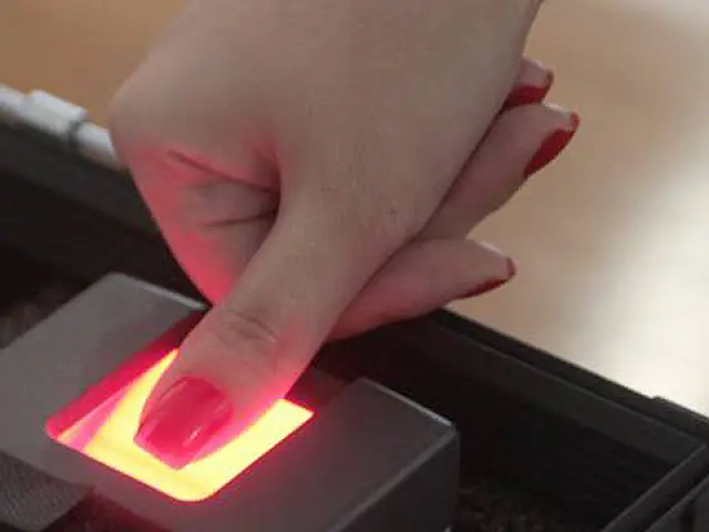 Mais de 73 mil eleitores de MS votarão biometricamente neste ano