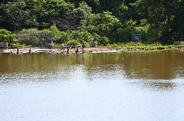 Desassoreamento do lago do Parque das Nações Indígenas chega a 80%