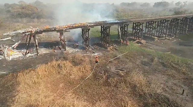 Área queimada no Pantanal supera 90% comparado a 2023