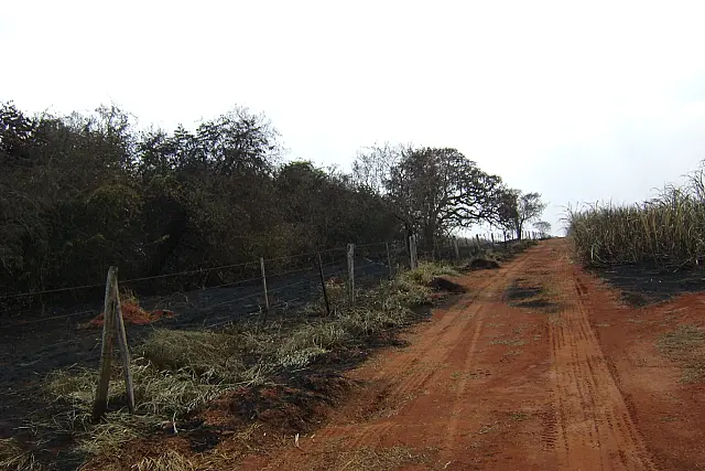 Arrendatário é autuado em R$ 666 mil por incêndio em lavoura de cana