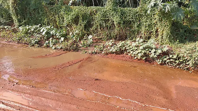 PMA autua frigorífico em Aquidauana
