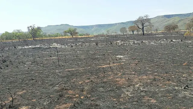 Pecuarista de Aquidauana é multado em R$ 1,5 milhão após fogo destruir reserva no Pantanal