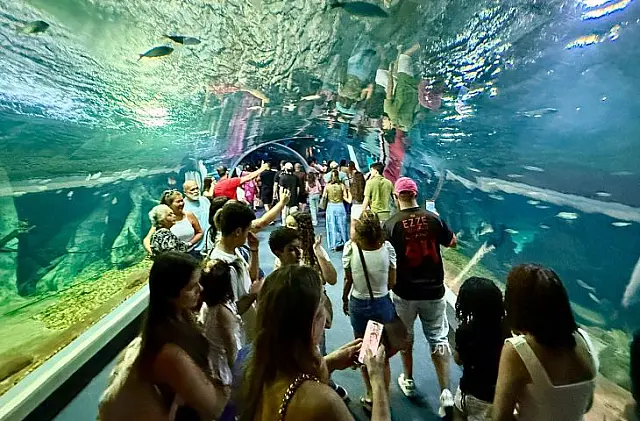 Bioparque Pantanal encerra julho com aumento de 80% no número de turistas