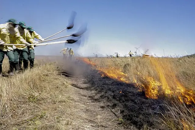 Governo Federal vai contratar brigadas temporárias em 20 estados para combate a incêndios