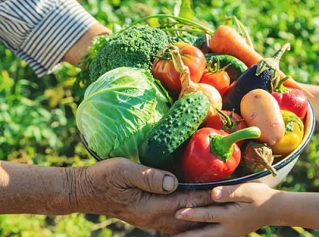 IFMS de Aquidauana abre chamada pública para aquisição de alimentos