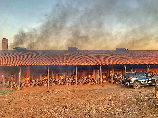 Delegacia de Miranda incinera 178 quilos de drogas apreendidas na região