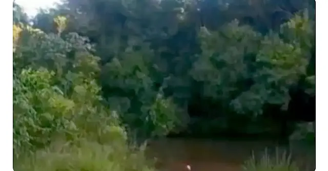 Menina de 9 anos morre afogada em córrego no município de Ribas do Rio Pardo