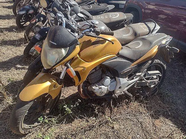 Cinco leilões estão abertos no MS