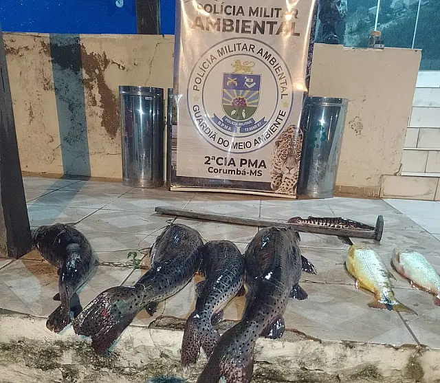 Pescadores são surpreendidos no rio Paraguai e PMA apreende pescado