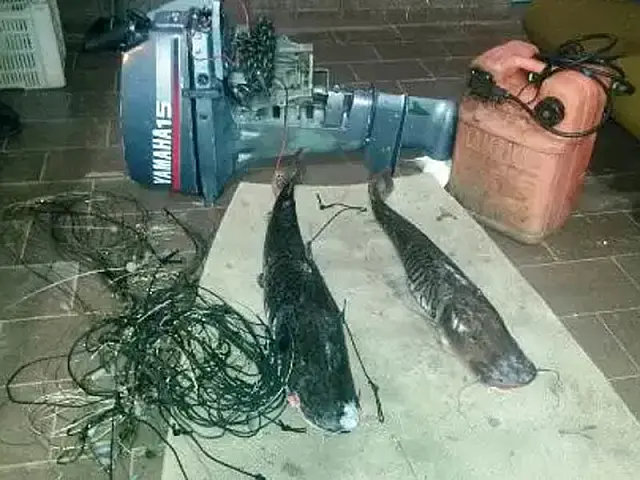 PMA prende homem de 62 anos por pesca predatória