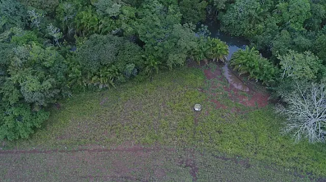 Homem é multado por manter gado degradando área protegida
