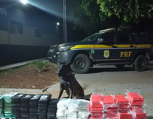 PRF encontra 125 quilos de cocaína escondidos em carga de carne em Terenos