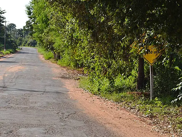 Placas de sinalização na MS-450 estão tomadas pelo matagal