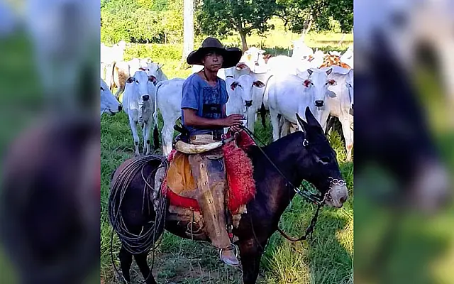 Explosão de fossa mata um homem e deixa outro ferido na zona rural de Bonito