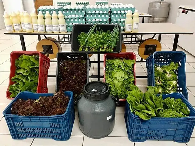 Alimentos frescos produzidos na UEMS abastecem casa de acolhimento de Aquidauana