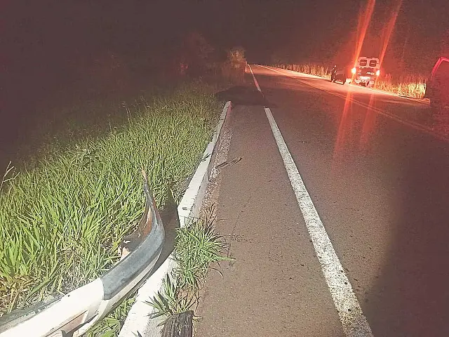 Cinco pessoas ficaram feridas após colisão em cavalos soltos na MS-338