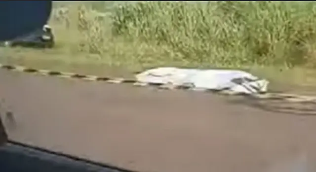 Motociclista morre após colisão com carreta em Aparecida do Taboado
