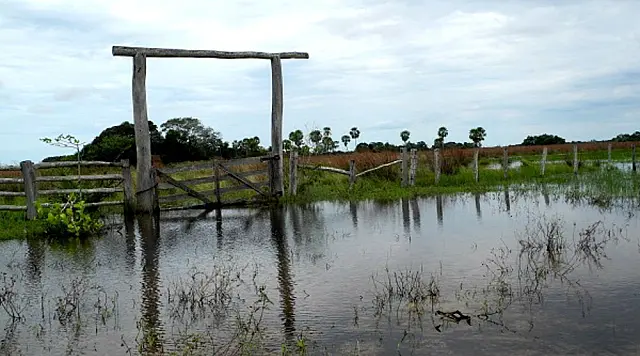 Governo federal reconhece situação de emergência provocada por cheia no Pantanal