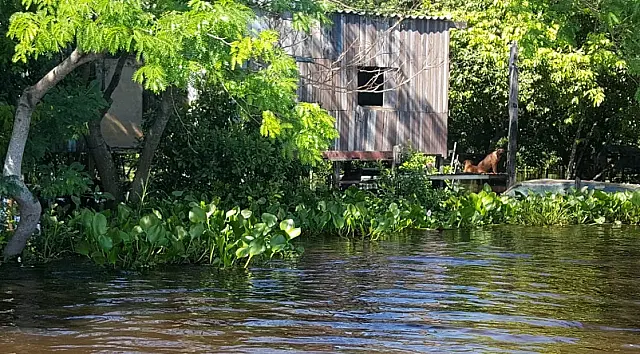Governo declara emergência em Corumbá devido à cheia no Pantanal; 2,5 mil pessoas foram afetadas