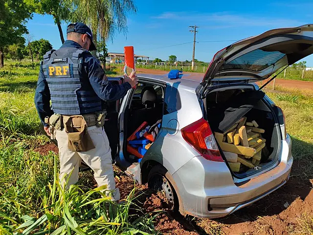 Polícia apreende 829 kg de maconha em dois carros na BR-262