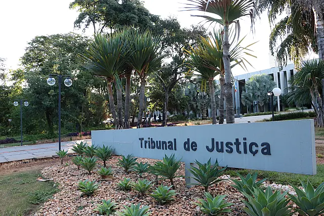 Condomínio não pode proibir animal de estimação apenas por tamanho
