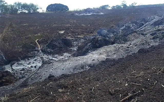 Polícia Ambiental autua homem em R$ 9 mil por queima criminosa
