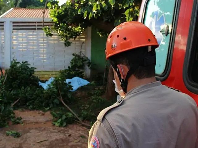 Homem morre ao levar descarga elétrica durante poda de árvore