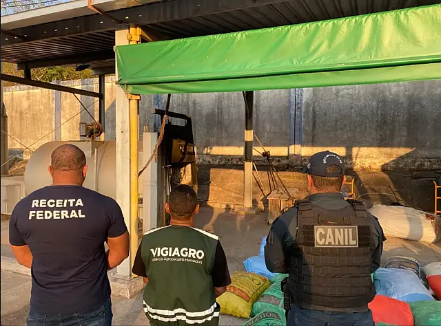 Mais 25 fetos de lhama são apreendidos em Corumbá
