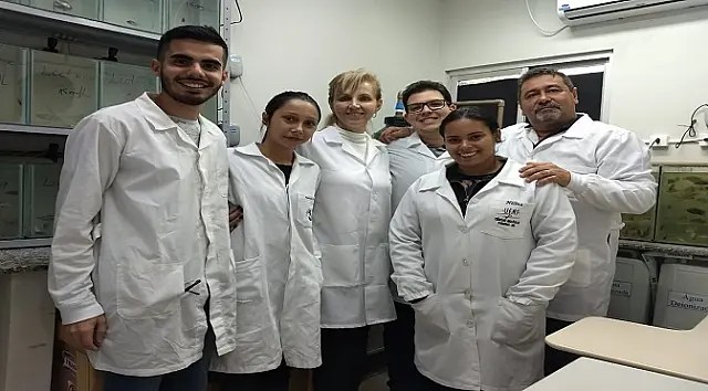 Pesquisadores de MS desenvolvem detergente que elimina as larvas do mosquito da dengue