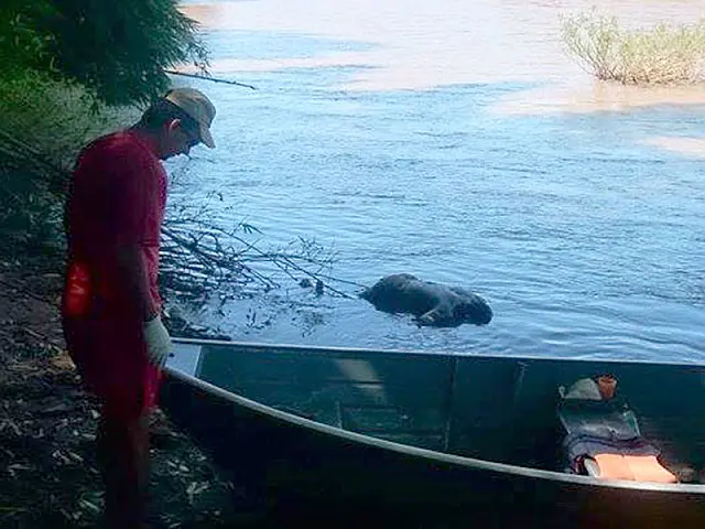 Após dois dias, corpo de jovem é encontrado nas águas do Rio Aquidauana