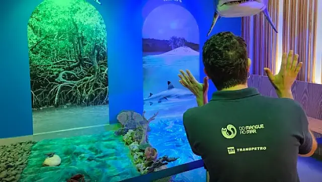 Apenas 5% dos recursos dos oceanos são conhecidos, diz pesquisadora