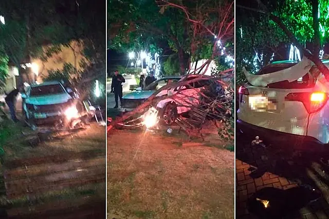 Motorista embriagada bate em árvore na Av. Pantaneta