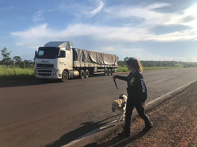 DRACCO apreende carga de cocaína na MS-040