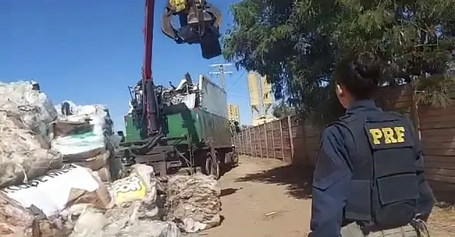 PRF encontra maconha em caminhão que transportava material reciclável