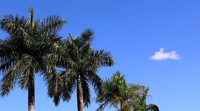 Sábado de sol e poucas nuvens em Aquidauana e região