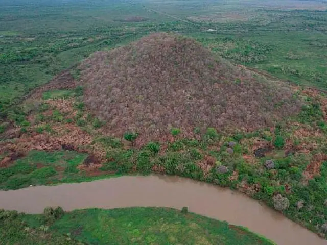 MPMS investiga incêndio que destruiu 20 hectares de vegetação nativa do Pantanal