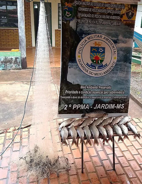 PMA prende pescador por pesca predatória com petrecho ilegal em Guia Lopes