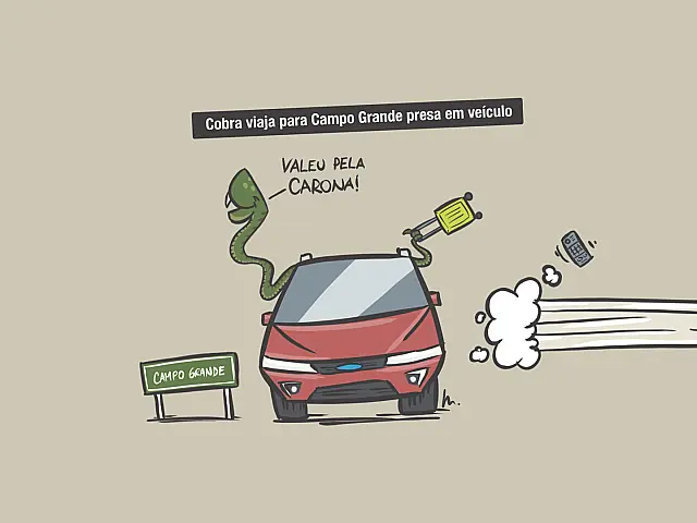 Carona