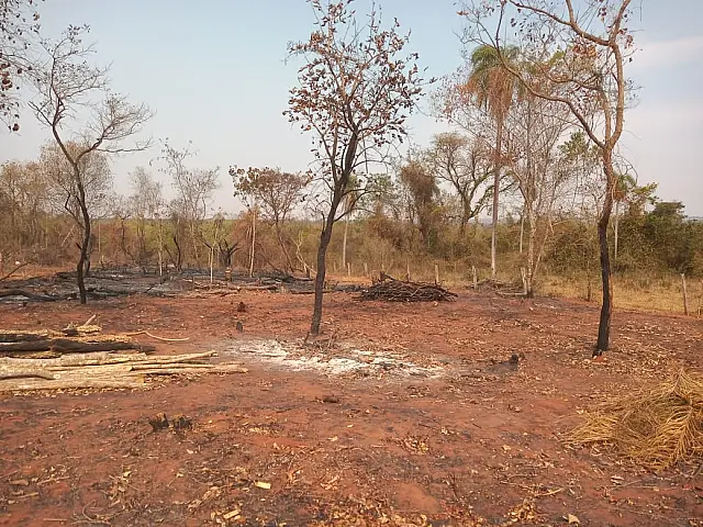 PMA de Jardim autua duas pessoas por incêndios em Nioaque