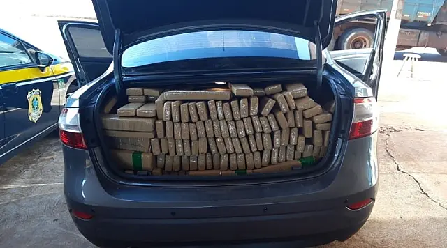Meia tonelada de maconha é abandonada por traficante
