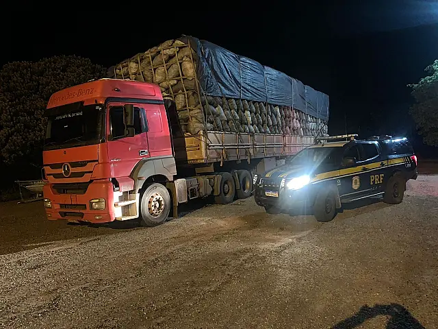Motorista é multado em R$ 33 mil por transporte ilegal de carvão