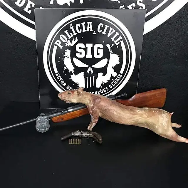Durante investigação, homem é preso com armas e cotia dentro de freezer