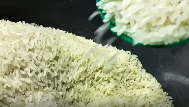 Conab anuncia R$ 300 milhões para produtores de arroz na safra 2025/26