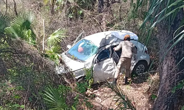 Homem perde o controle da direção, bate em árvore e morre na BR-262
