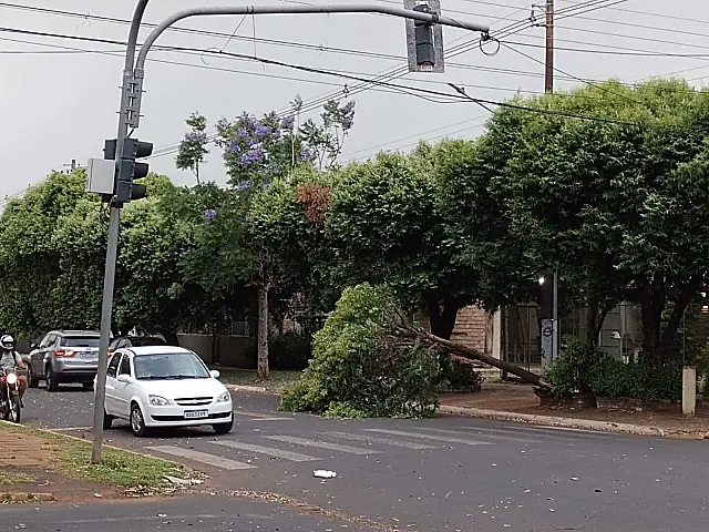 Temporal derruba árvores em ruas de Aquidauana