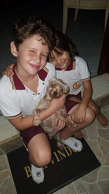 Cachorro Benji é encontrado após reportagem