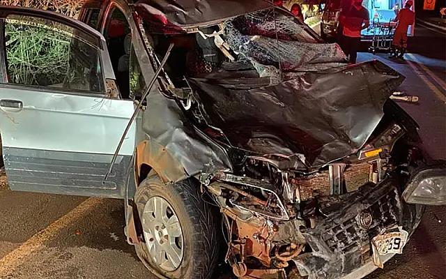 Mãe e filha ficam em estado grave após colisão com animais na MS-040