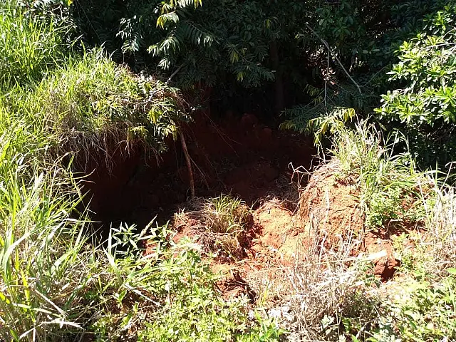 PMA autua infrator por realização de atividade agrícola sem conservação de solo